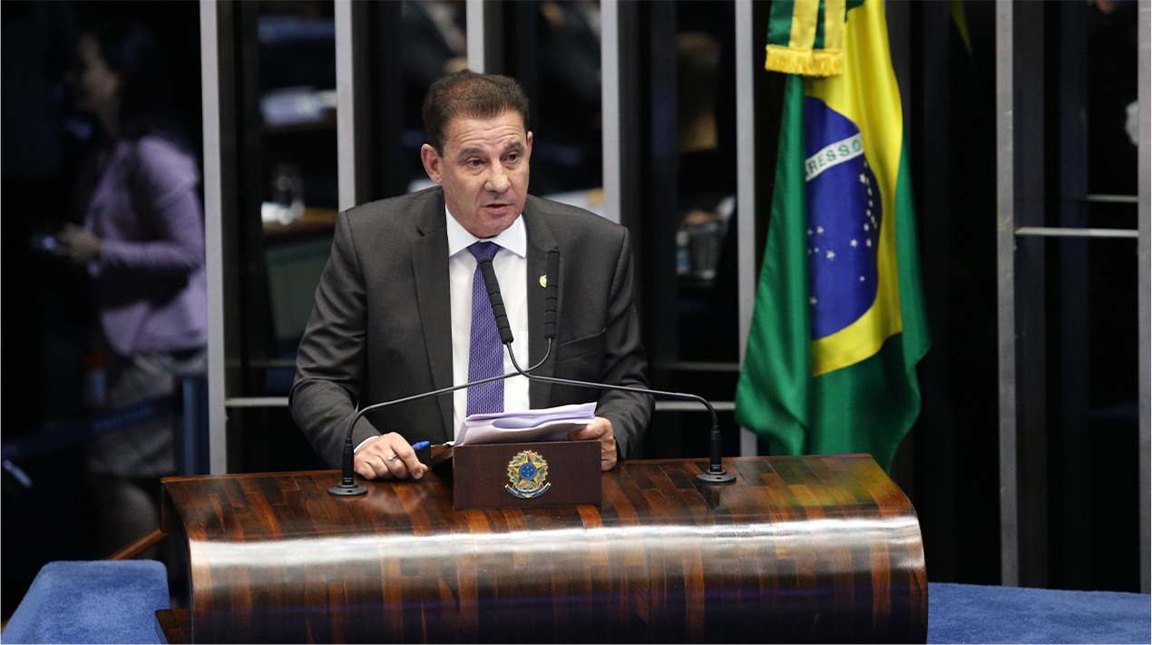 imagem da seção